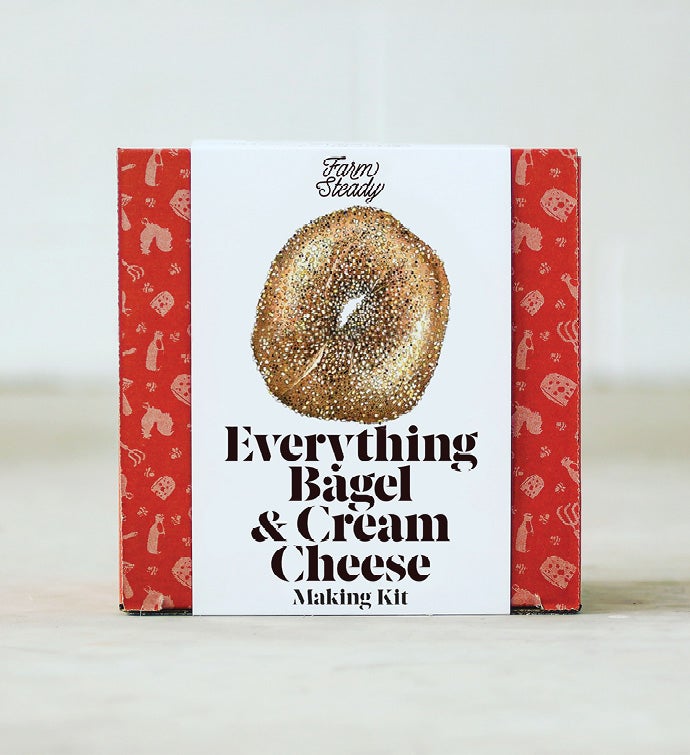 Everything Bagel And Cream Cheese Making Kit